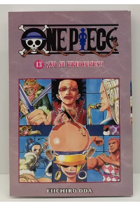 ?NO SE PREOCUPEN! ONE PIECE N°13|